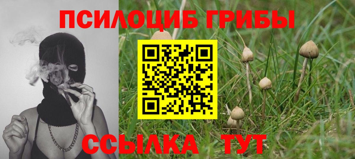 Галлюциногенные грибы Psilocybe  где можно купить наркотик  Вход с VPN  Когалым  Псилоцибиновые грибы Cubensis 