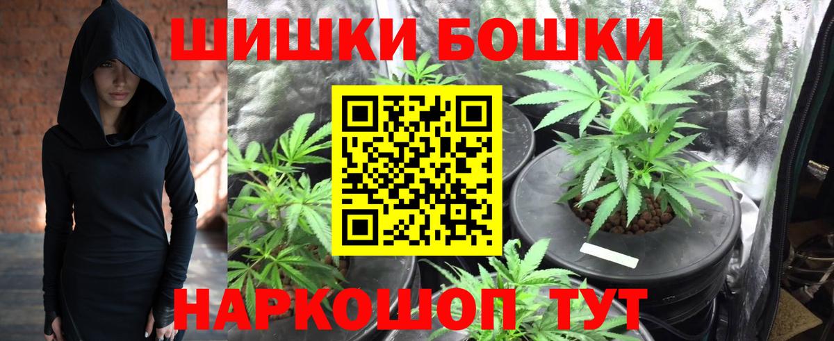 Марихуана план  Каннабис марихуана  Когалым  Вход с VPN 
